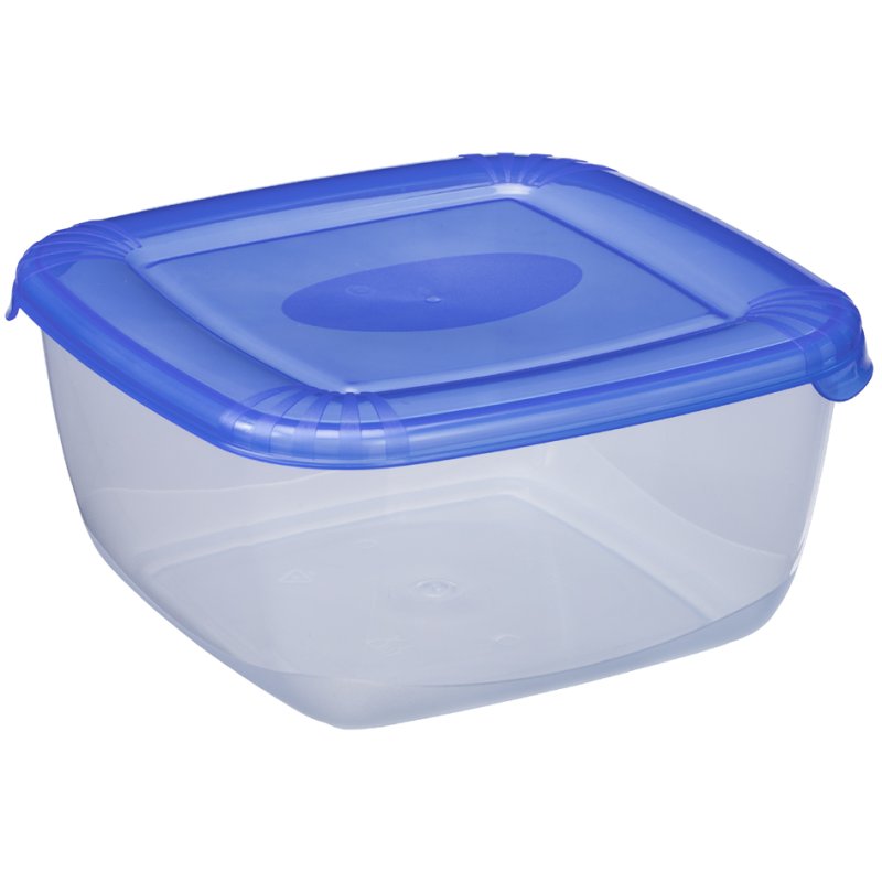 Plast Team Boîte congélation plastique, bleu, 2,5 litres, carré
